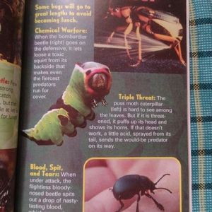 Ripley 'S Believe It Or Not Bizarre Bugs