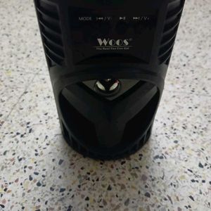 Woos Speaker