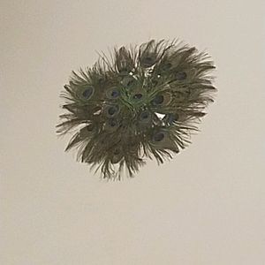 Wall Decorative With Peacock Feather