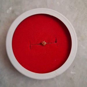 Beautiful New Star Red Nosepin