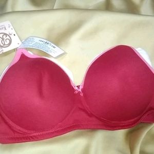 Beautiful Branded Bra