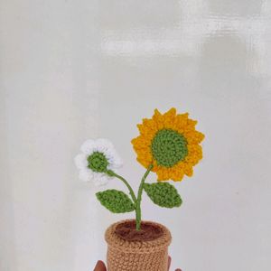 Crochet 🌻 & Daisy Flower Pot