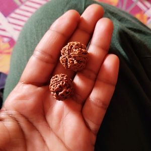 Rudraksha With Vibhuti &kala Dhaga