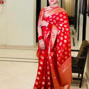 Organza Saree