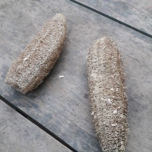 organic luffa pack of 2