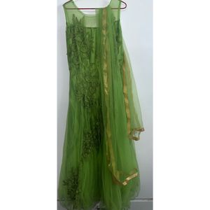 Party Wear Flared Gown