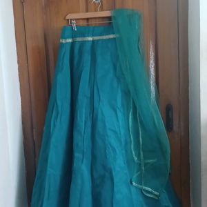 Green Skirt And Shawl