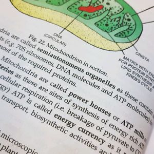 SCIENCE BIOLOGY GRADE 9