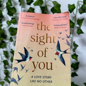 The sight of you - Holly Miller (Fictional Book)