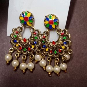 Multi Colored Earrings