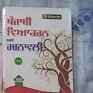 Class 10 Punjabi Book