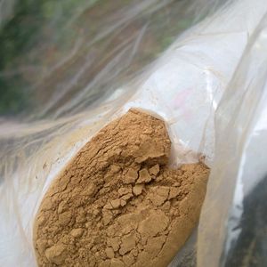 Shikakai Powder