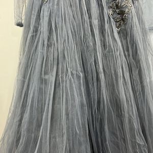 Net Embroidery Fancy Gown