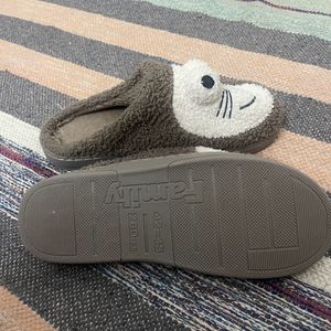 Winter Slides/slippers