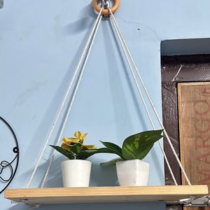 Wooden Macrame Hanging Shelf With Ikea Plants