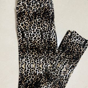 Velvet Leopard Print Pant