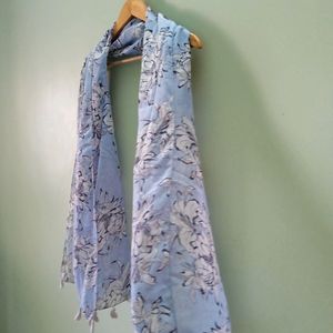 Blue 🔵 Print Stole