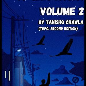 The Echoes Of Illusions Volume 2