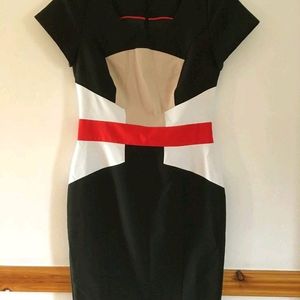 Bodycon Dress (Corporate Use )