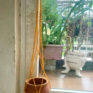 Plant Hanger New