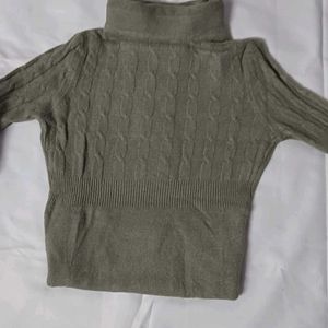 Turtle Neck Woolen Top