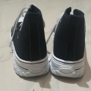 Converse Shoe