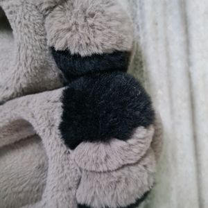 Squirrel Soft Slippers