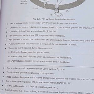 Diagram Book Of Zoology And Botany For Neet