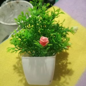 Artificial Plant