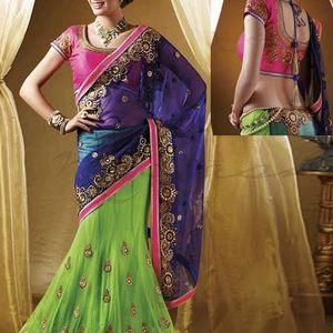 Beautiful Net Saree