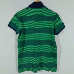 Green Grey Striped T-Shirt (Men's)