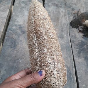 luffa (organic luff