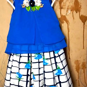 Top And Bottom Party Wear Set ( Girls )