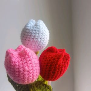 3 Tulip Set