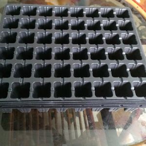 Seed Growing Tray