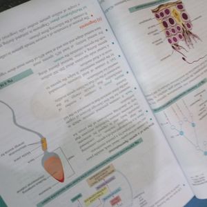 Xam Idea Biology for 12th boards/neet 2023 edition