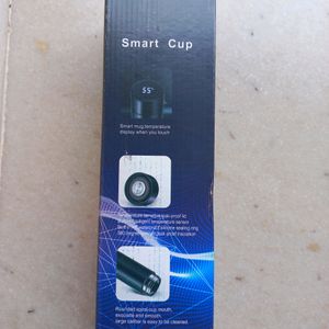 Water Bottle With LED Display