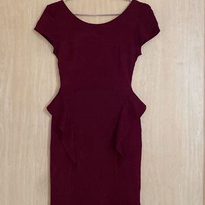 Zara Bodycon Dress