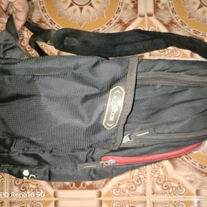 Skybags backpack