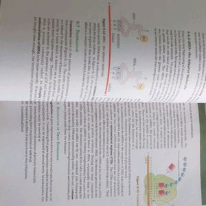 NCERT BIOLOGY CLASS 12