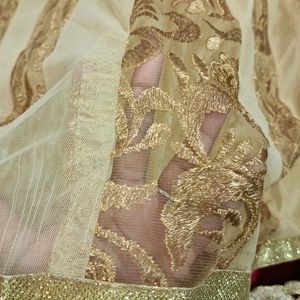 Lehenga With Dupatta Without Choli