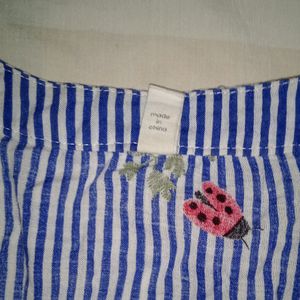 Bluewhite Strip Embroidered Red Details Top