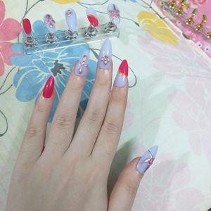 Press On Nails(Wildflowers🏵)