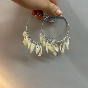 Shells Earrings