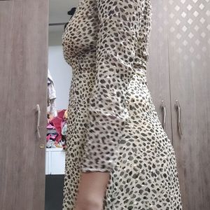 Leopard Print Dress From MAX