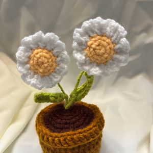 Daisy Pot