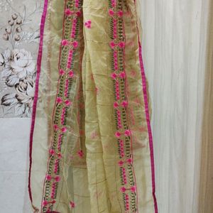 Organza Embroidered Very Beautiful Designer Duppata