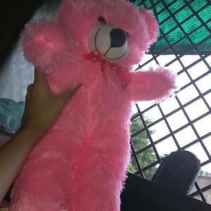 Pink Teddy New