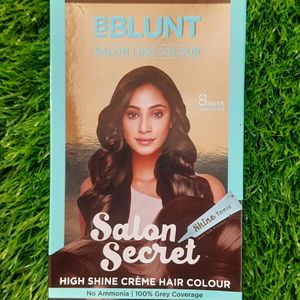 BBLUNT Salon Like Hair Colour