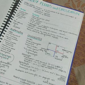 Class 11th Pcb Handwritten Note Aesthetic In Coins